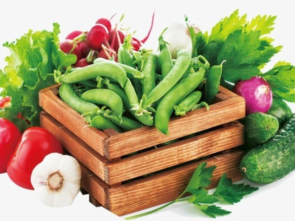 Mykorhizní houby-500g