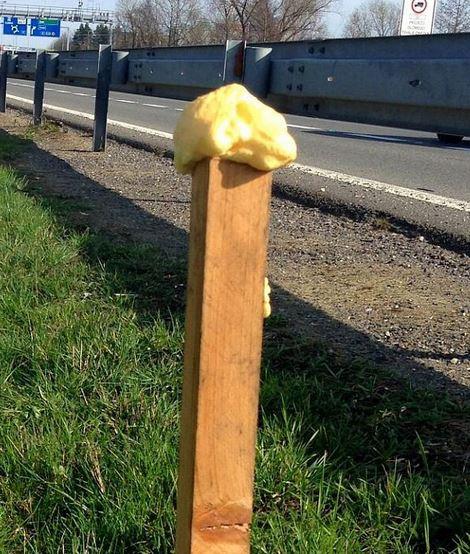 Pachový ohradník - sada na srnky
