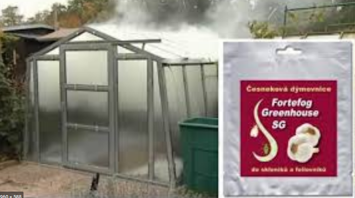 Česneková dýmovnice do skleníku