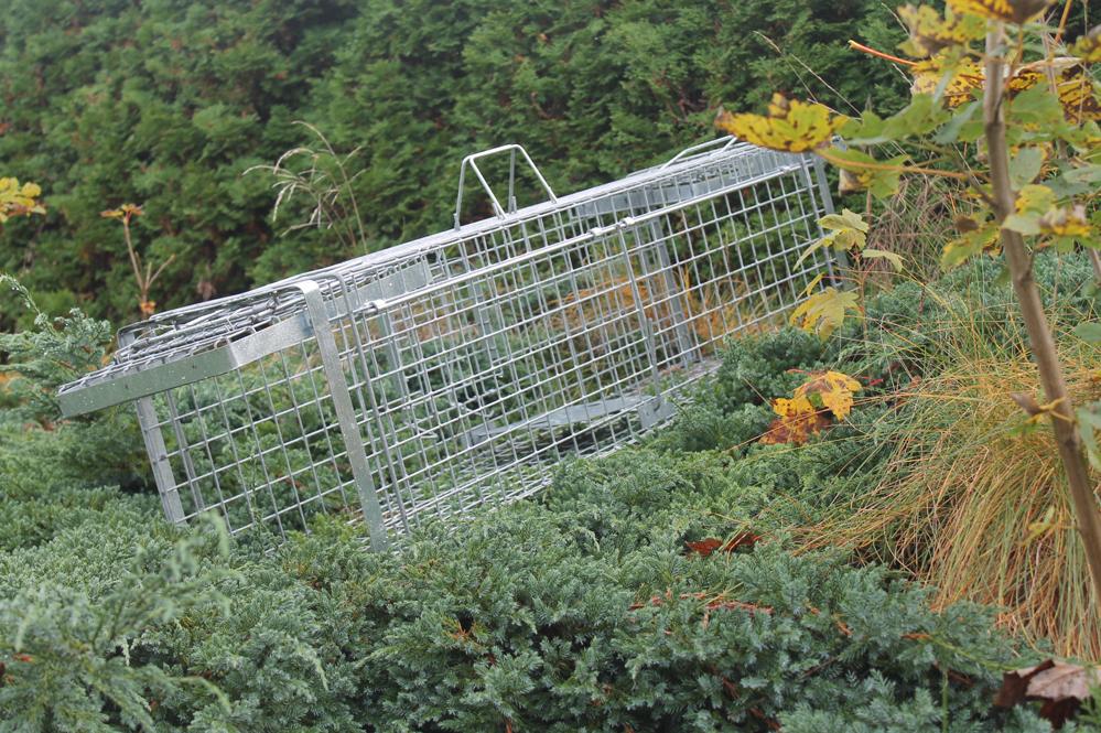 PROFESIONÁLNÍ SKLOPEC na kuny HARDY 102x26x30 cm s pružinovým uzavěrem