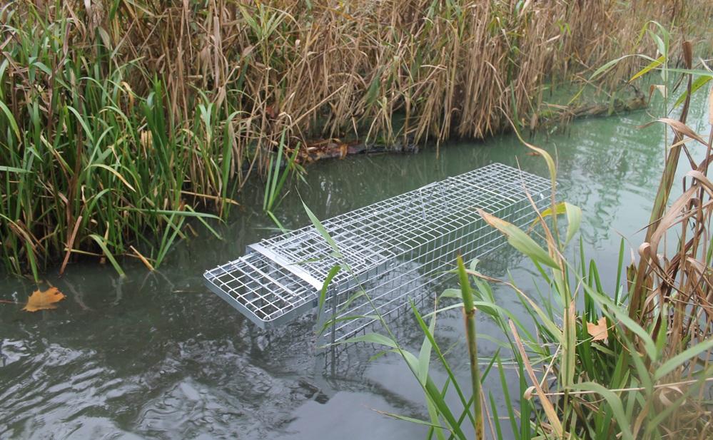 PROFESIONÁLNÍ SKLOPEC na kuny HARDY 102x26x30 cm s pružinovým uzavěrem