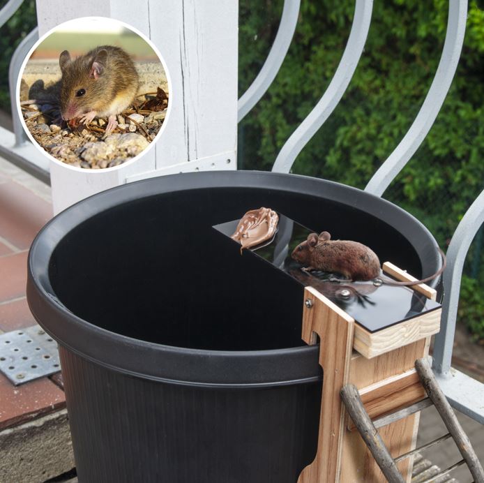 Automatická past na myši